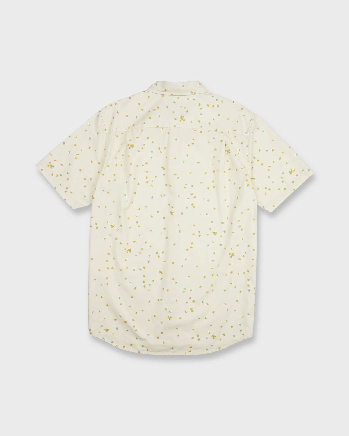 Bone White