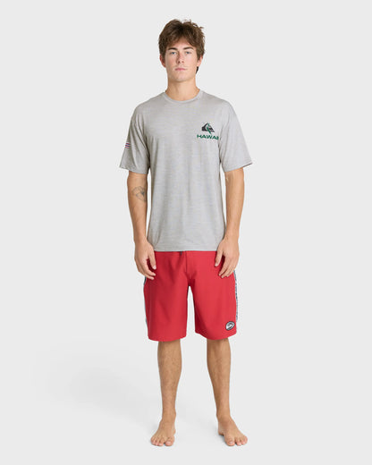 Light Grey Hth