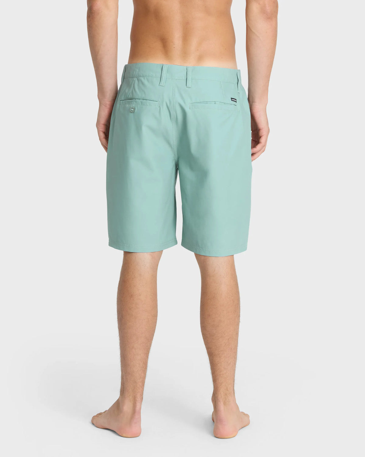 Iceberg Green