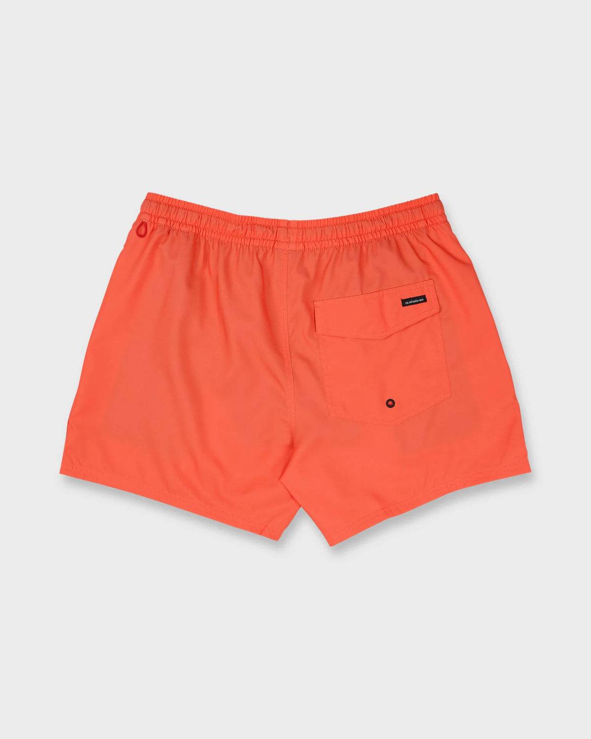 Hot Coral