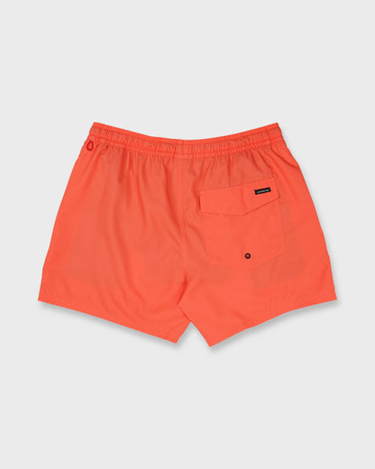 Hot Coral