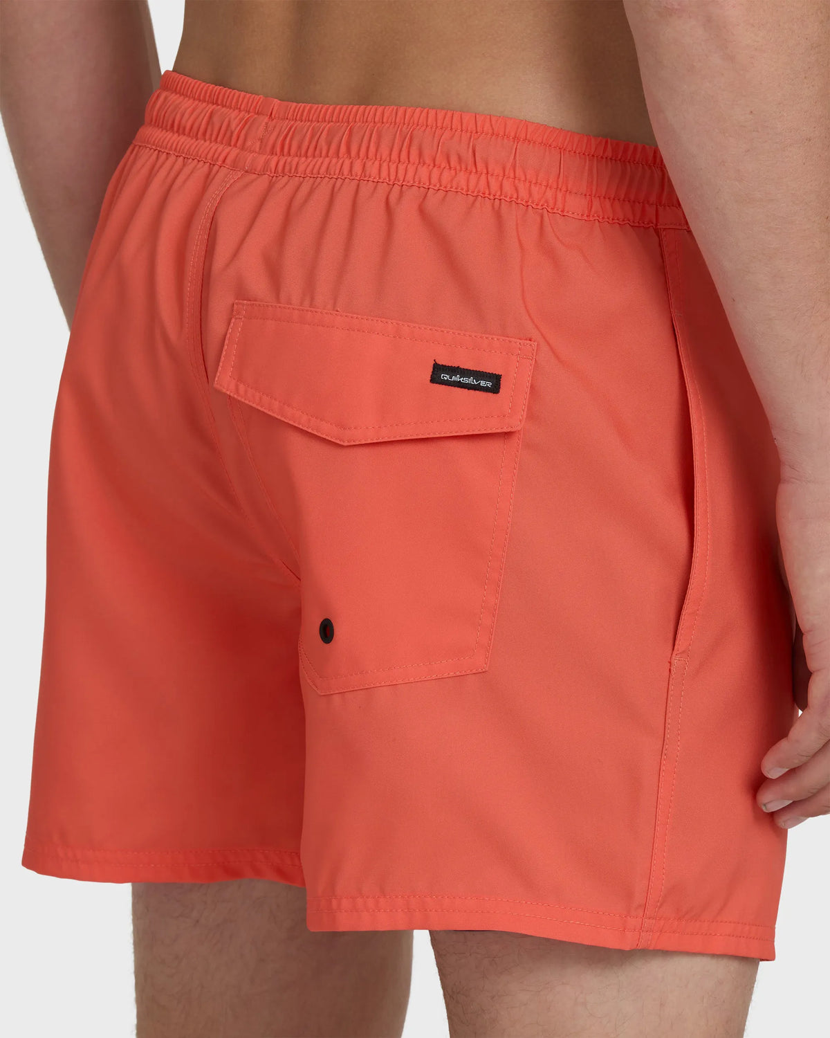 Hot Coral
