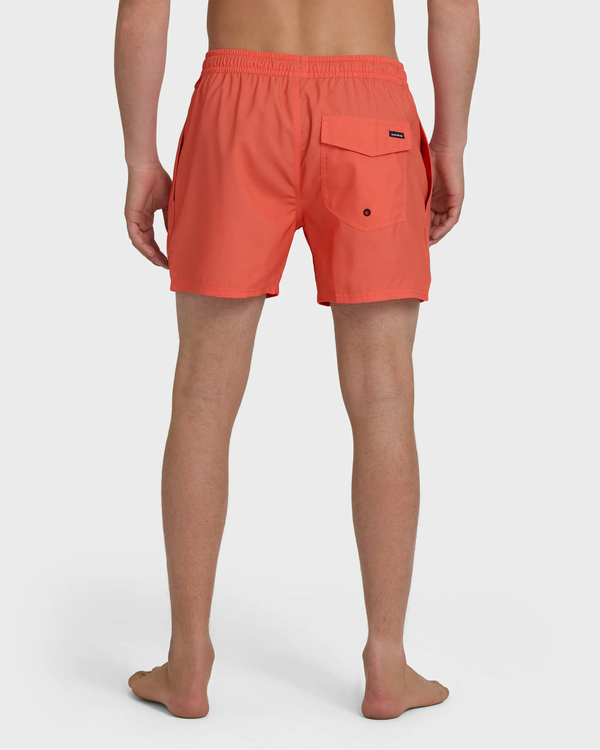 Hot Coral
