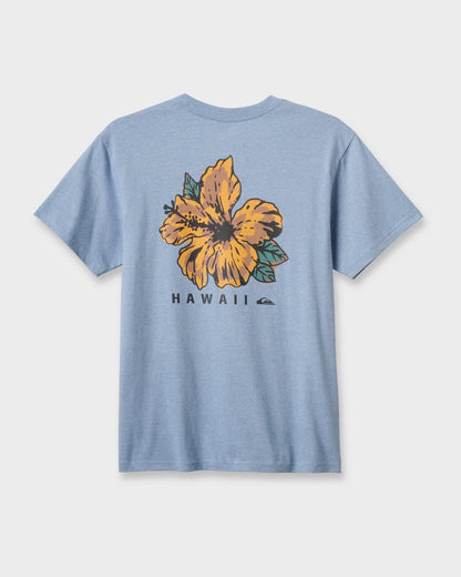 Ashley Blue Heather