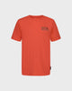 Hot Coral